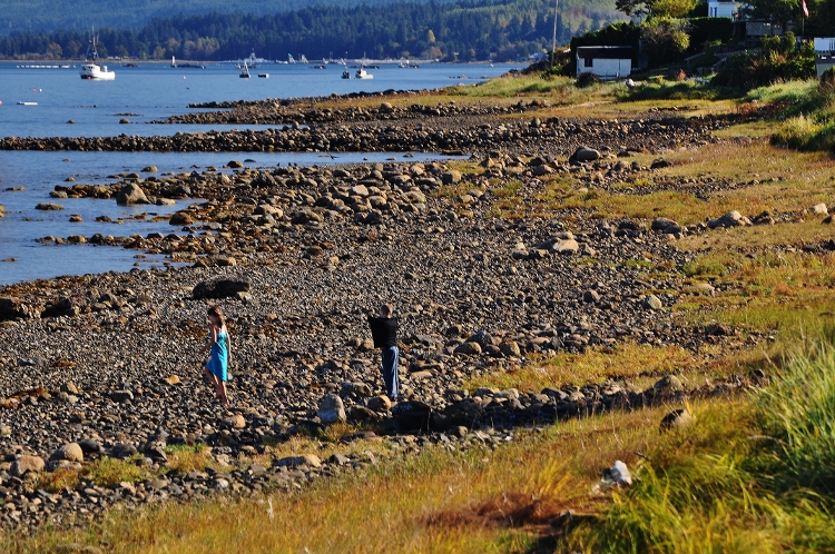 low tide